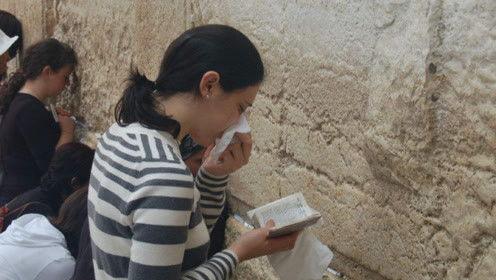 娱乐吃瓜君陶白白,陶白白带你领略娱乐圈的“瓜田”盛景